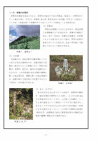 00-目次,発刊に.indd